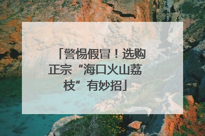 警惕假冒！选购正宗“海口火山荔枝”有妙招