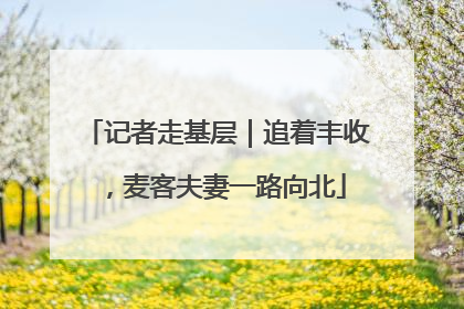 记者走基层｜追着丰收，麦客夫妻一路向北