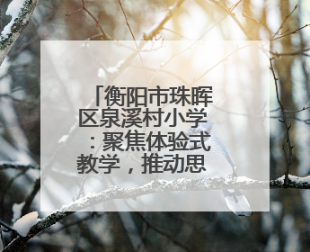 衡阳市珠晖区泉溪村小学：聚焦体验式教学，推动思政课堂创新