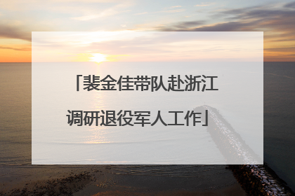 裴金佳带队赴浙江调研退役军人工作