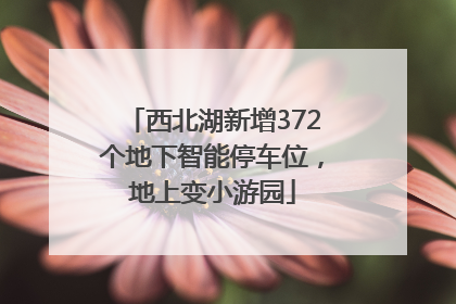 西北湖新增372个地下智能停车位，地上变小游园