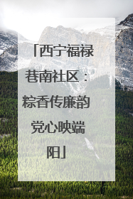 西宁福禄巷南社区：粽香传廉韵 党心映端阳