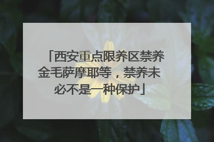 西安重点限养区禁养金毛萨摩耶等，禁养未必不是一种保护