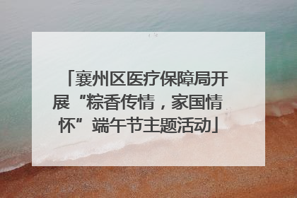 襄州区医疗保障局开展“粽香传情，家国情怀”端午节主题活动