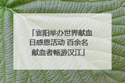 襄阳举办世界献血日感恩活动 百余名献血者畅游汉江