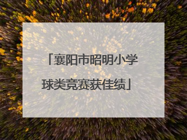 襄阳市昭明小学球类竞赛获佳绩