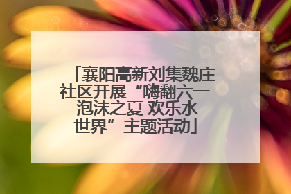 襄阳高新刘集魏庄社区开展“嗨翻六一 泡沫之夏 欢乐水世界”主题活动