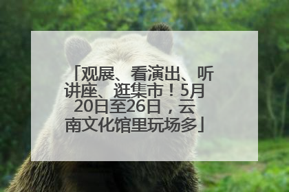 观展、看演出、听讲座、逛集市！5月20日至26日，云南文化馆里玩场多