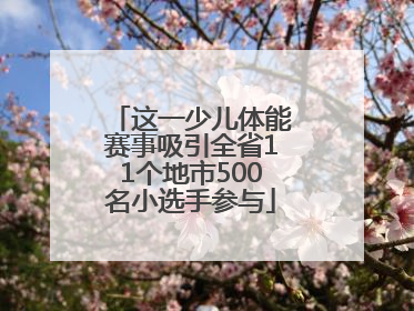 这一少儿体能赛事吸引全省11个地市500名小选手参与