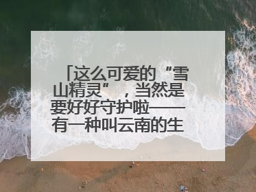 这么可爱的“雪山精灵”，当然是要好好守护啦——有一种叫云南的生活之365天