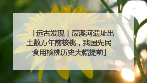 远古发现｜濛溪河遗址出土数万年前核桃，我国先民食用核桃历史大幅提前