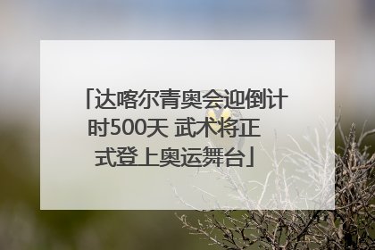 达喀尔青奥会迎倒计时500天 武术将正式登上奥运舞台