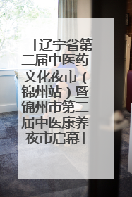 辽宁省第二届中医药文化夜市（锦州站）暨锦州市第二届中医康养夜市启幕