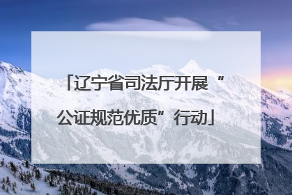 辽宁省司法厅开展“公证规范优质”行动