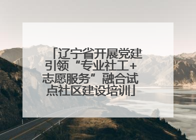 辽宁省开展党建引领“专业社工+志愿服务”融合试点社区建设培训