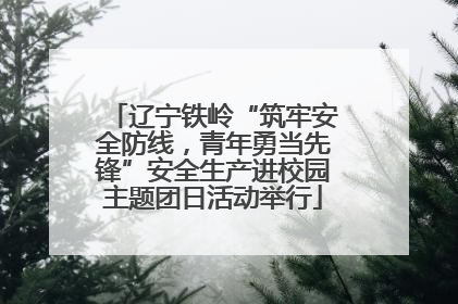 辽宁铁岭“筑牢安全防线，青年勇当先锋”安全生产进校园主题团日活动举行