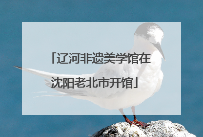 辽河非遗美学馆在沈阳老北市开馆