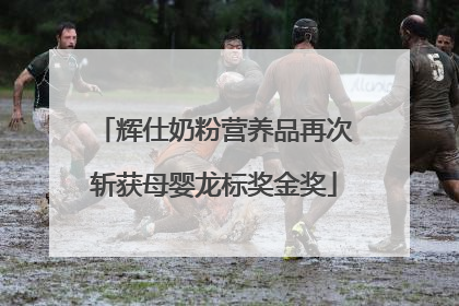 辉仕奶粉营养品再次斩获母婴龙标奖金奖