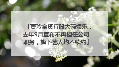 贾玲全资持股大碗娱乐，去年9月宣布不再担任公司职务，旗下艺人均不续约