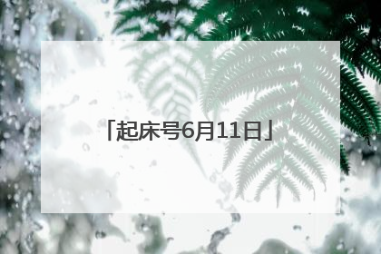起床号6月11日