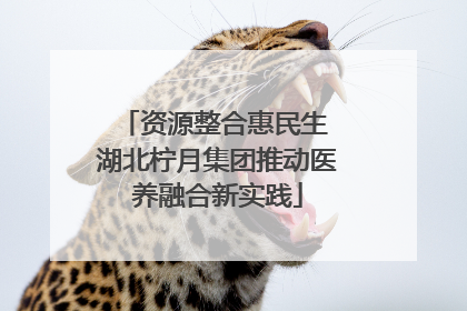 资源整合惠民生 湖北柠月集团推动医养融合新实践