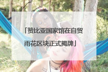 赞比亚国家馆在自贸雨花区块正式揭牌