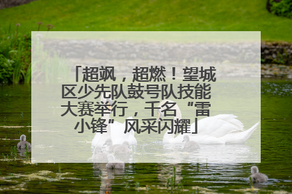 超飒，超燃！望城区少先队鼓号队技能大赛举行，千名“雷小锋”风采闪耀