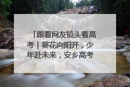 跟着网友镜头看高考｜葵花向阳开，少年赴未来，安乡高考首日的希望图景