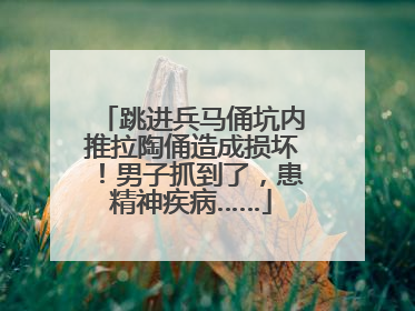 跳进兵马俑坑内推拉陶俑造成损坏！男子抓到了，患精神疾病……