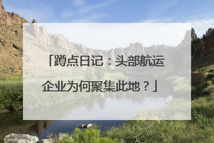 蹲点日记：头部航运企业为何聚集此地？