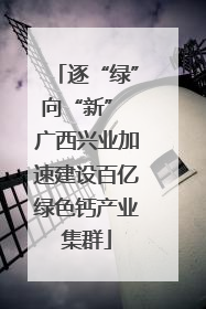 逐“绿”向“新” 广西兴业加速建设百亿绿色钙产业集群