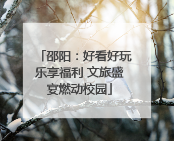 邵阳：好看好玩乐享福利 文旅盛宴燃动校园