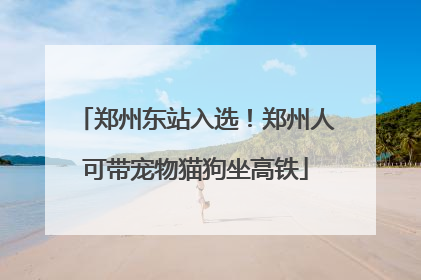 郑州东站入选！郑州人可带宠物猫狗坐高铁