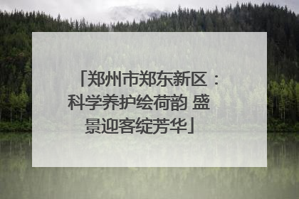 郑州市郑东新区：科学养护绘荷韵 盛景迎客绽芳华