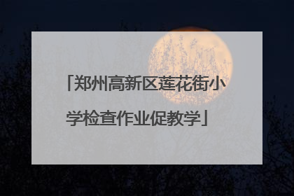 郑州高新区莲花街小学检查作业促教学