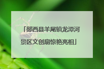 郧西县羊尾镇龙潭河景区文创扇惊艳亮相