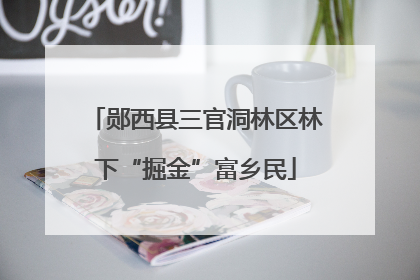 郧西县三官洞林区林下“掘金”富乡民