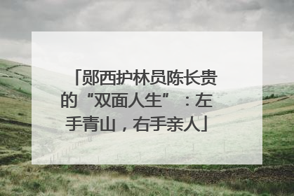 郧西护林员陈长贵的“双面人生”：左手青山，右手亲人
