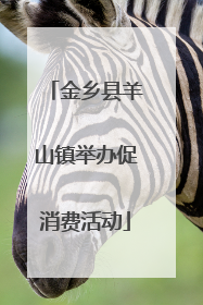 金乡县羊山镇举办促消费活动