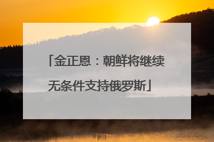金正恩：朝鲜将继续无条件支持俄罗斯