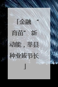 金融 “育苗” 新动能，莘县种业拔节长