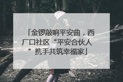 金锣敲响平安曲，西厂口社区“平安合伙人”携手共筑幸福家