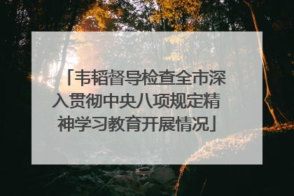韦韬督导检查全市深入贯彻中央八项规定精神学习教育开展情况