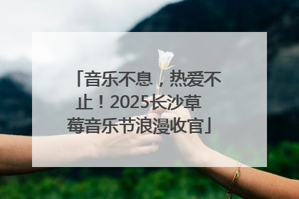 音乐不息，热爱不止！2025长沙草莓音乐节浪漫收官
