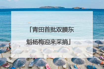 青田首批双膜东魁杨梅迎来采摘