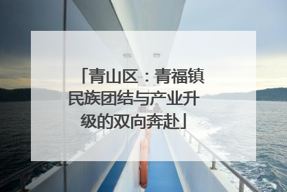 青山区：青福镇民族团结与产业升级的双向奔赴