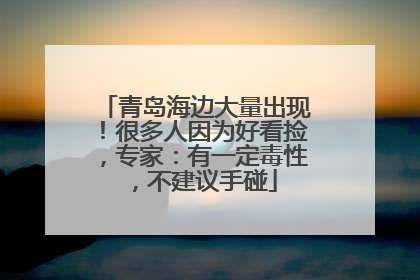 青岛海边大量出现！很多人因为好看捡，专家：有一定毒性，不建议手碰