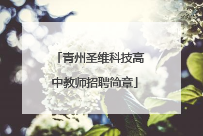青州圣维科技高中教师招聘简章