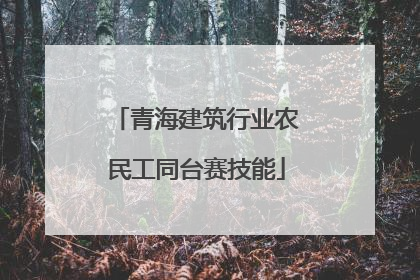 青海建筑行业农民工同台赛技能