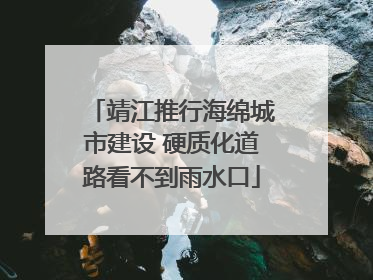 靖江推行海绵城市建设 硬质化道路看不到雨水口